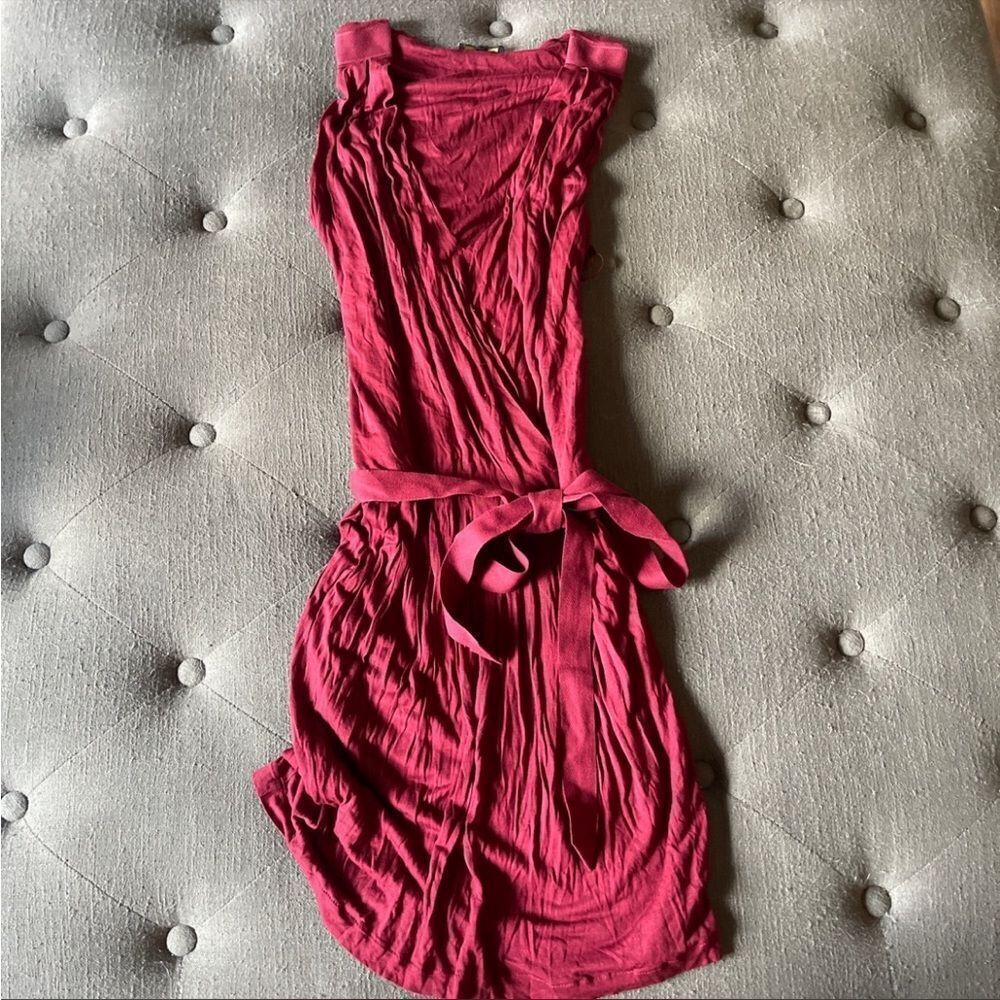 Massimo dutti small dress